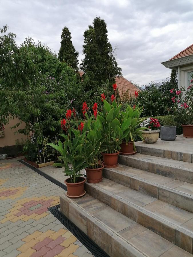 Kaktuszvirag Apartmanhaz Hajdúszoboszló 외부 사진