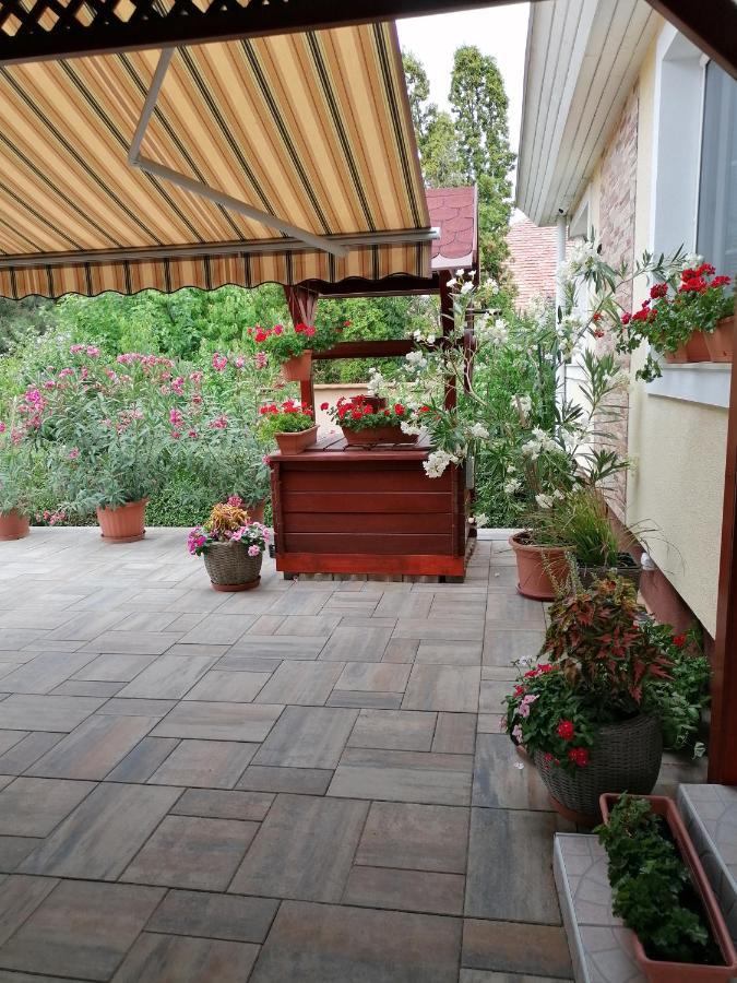Kaktuszvirag Apartmanhaz Hajdúszoboszló 외부 사진