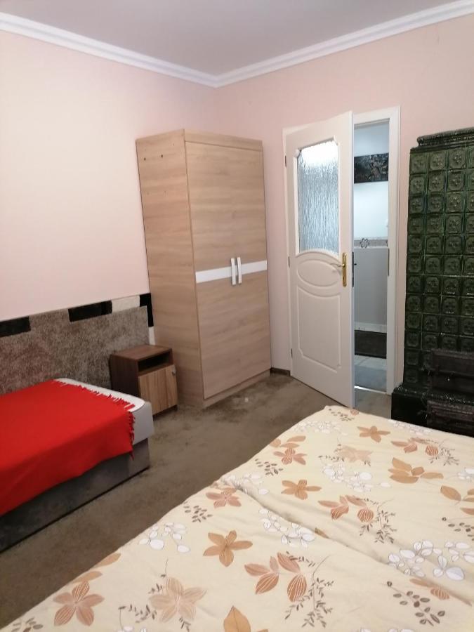 Kaktuszvirag Apartmanhaz Hajdúszoboszló 외부 사진